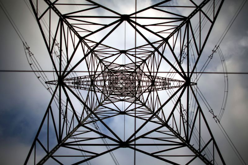 FILE PHOTO: A high-voltage power line tower near Berlin