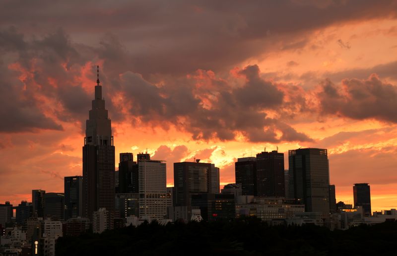 A view of the skyline at Shinjuku district during sunset