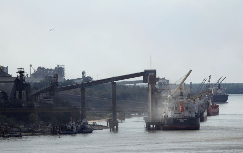 FILE PHOTO: Grain is loaded aboard ships in a port