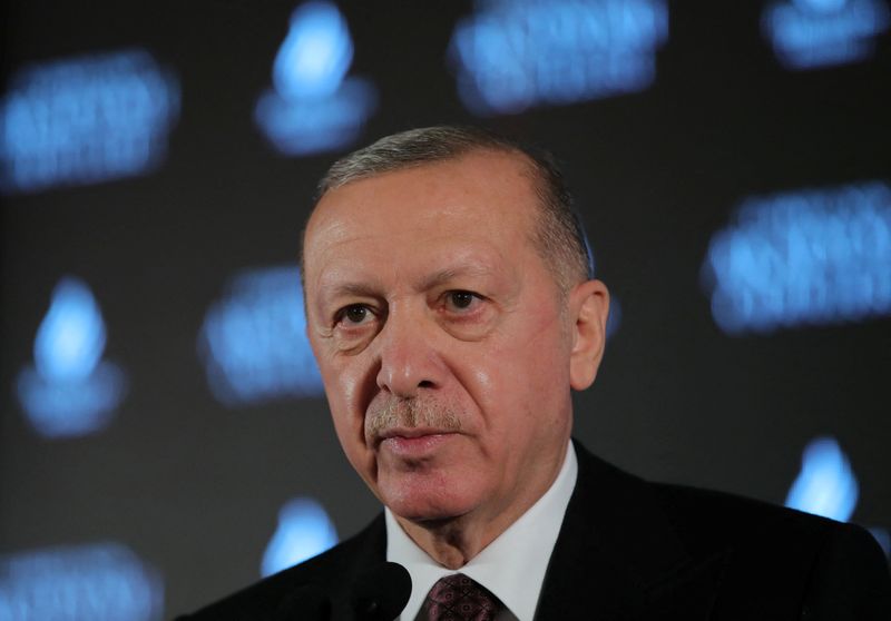Turkish President Tayyip Erdogan addresses the audience as he attends