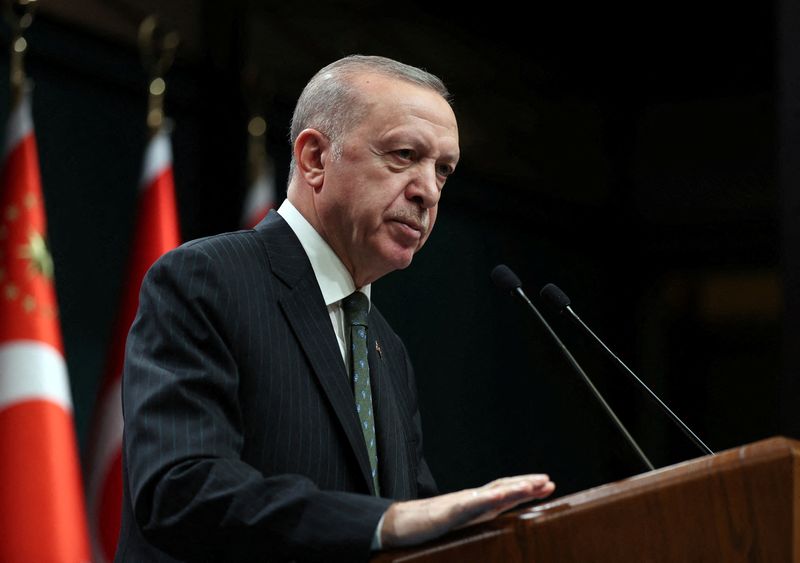 Turkish President Tayyip Erdogan addresses the media after a cabinet