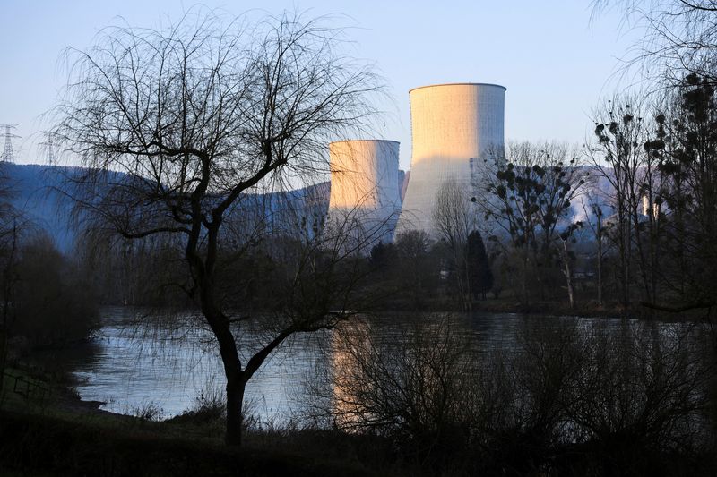 FILE PHOTO: A general view of the two cooling towers
