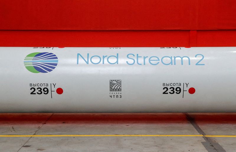 FILE PHOTO: Logo of the Nord Stream 2 gas pipeline
