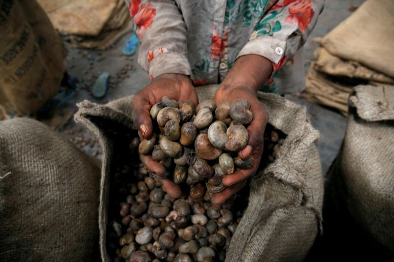 FILE PHOTO: A woman holds cashew nuts at a warehouse