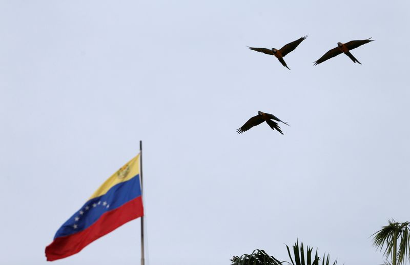 FILE PHOTO: Birds fly next to a Venezuelan flag in