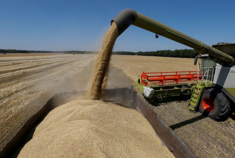 FILE PHOTO: Combine harvester loads truck with barley in field