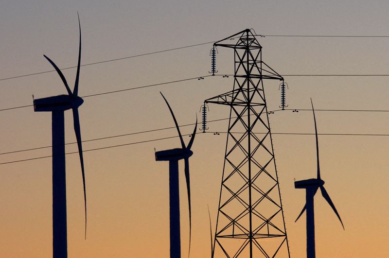 FILE PHOTO: Electricity pylons and wind turbines are silhouetted at