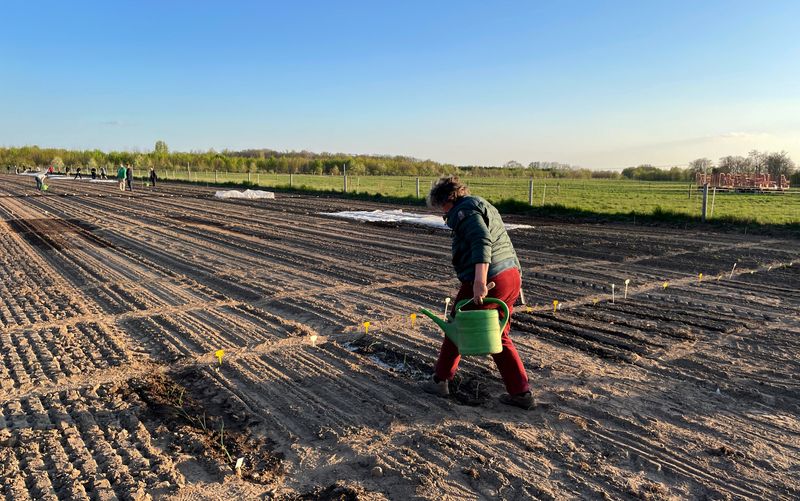 Grow your own, without the digging – Germans snap up