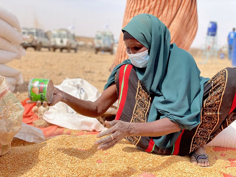 FILE PHOTO: WFP warns millions facing hunger as driest weather