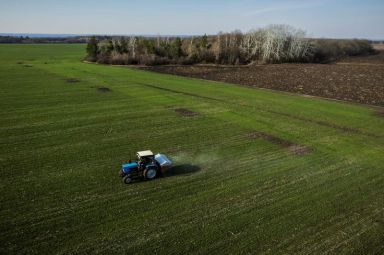FILE PHOTO: A tractor spreading fertiliser on a wheat field