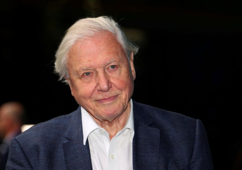 FILE PHOTO: Broadcaster and film maker David Attenborough attends the