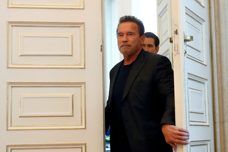 FILE PHOTO: Austrian Chancellor Kurz receives Arnold Schwarzenegger in Vienna