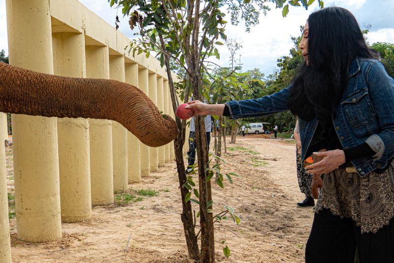 Singer Cher interacts with Kaavan, an elephant transported from Pakistan