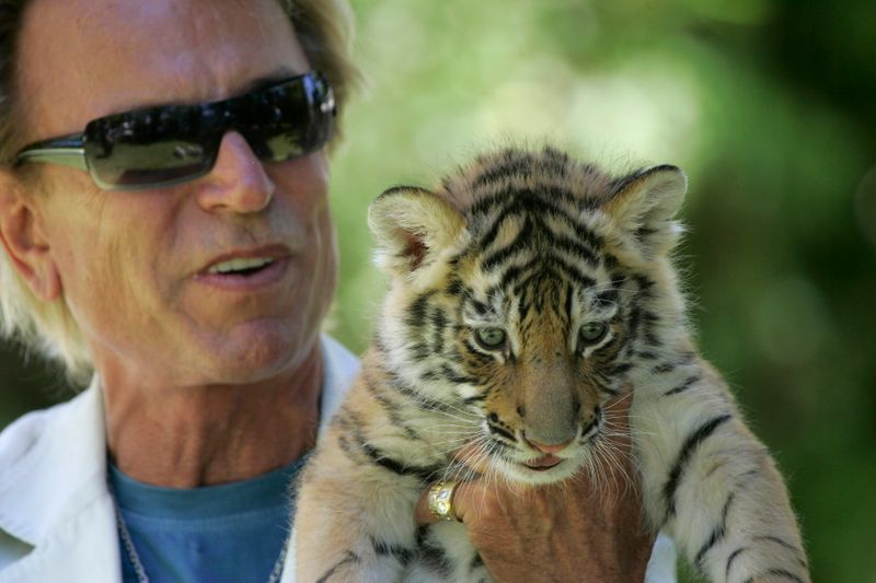 Illusionist Siegfried Fischbacher displays a 6-week-old tiger cub at his