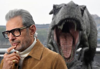 FILE PHOTO: Cast member Goldblum attends photocall to promote the
