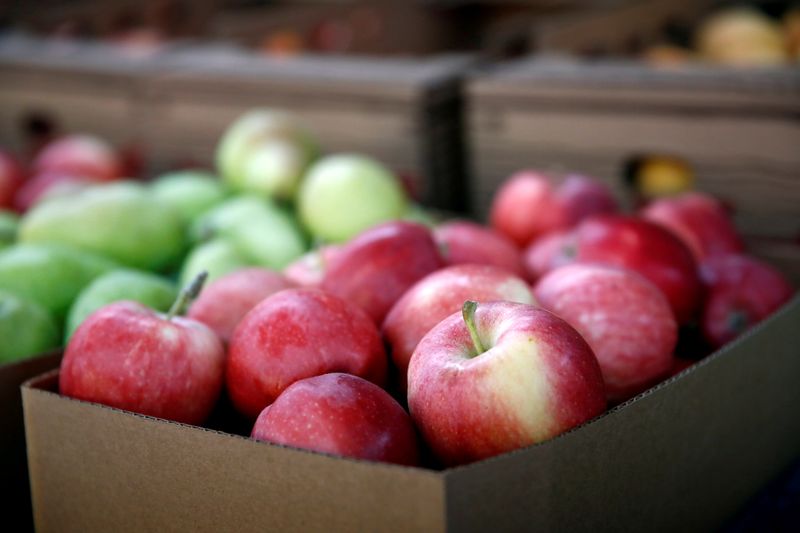 FILE PHOTO: Gala apples are for sale at the B&B