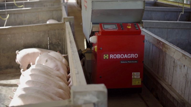 Roboagro robot feeds pigs while playing classical music on a