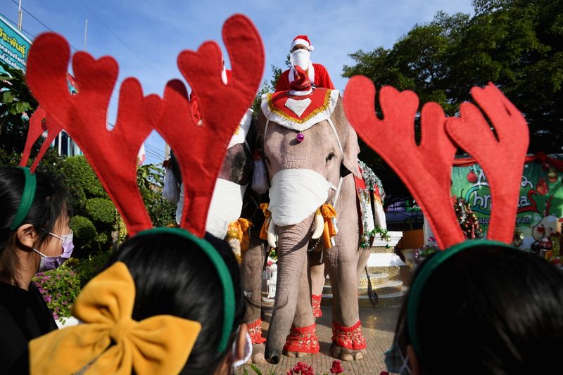 Mahouts dress elephants as Santa Claus to help distribute face
