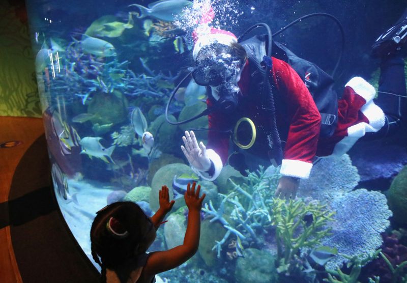 FILE PHOTO: A young visitor is greeted by a diver
