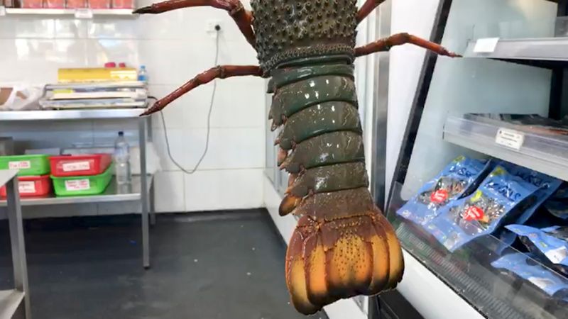 FILE PHOTO: A lobster is seen at a fish market