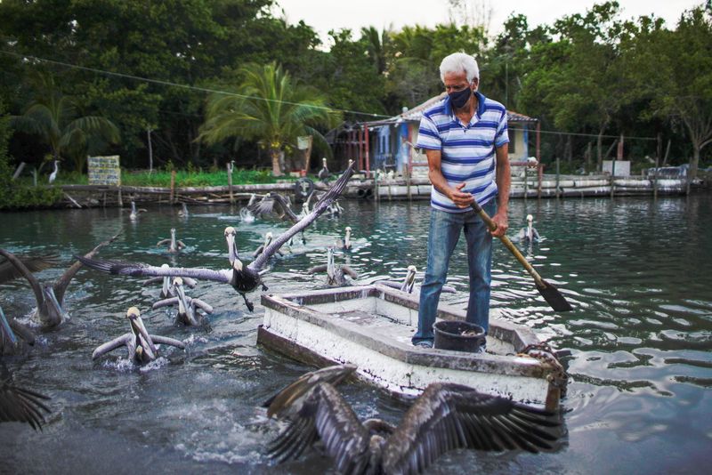 Leonardo Carrillo feeds pelicans in front of his home in