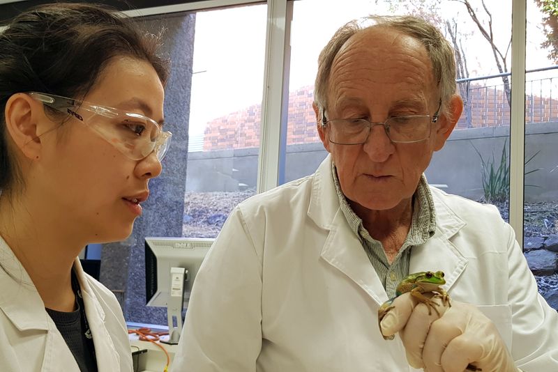 Professor and research assistant look at a frog inside university