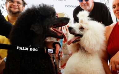 The 75th Cannes Film Festival – The Palm Dog Awards