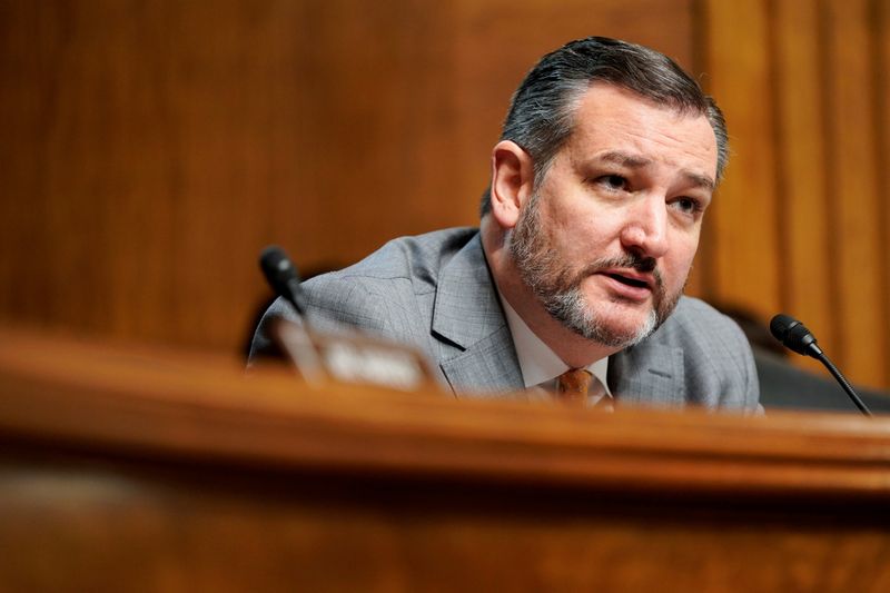 FILE PHOTO: Senator Ted Cruz (R-TX) questions judicial nominees during