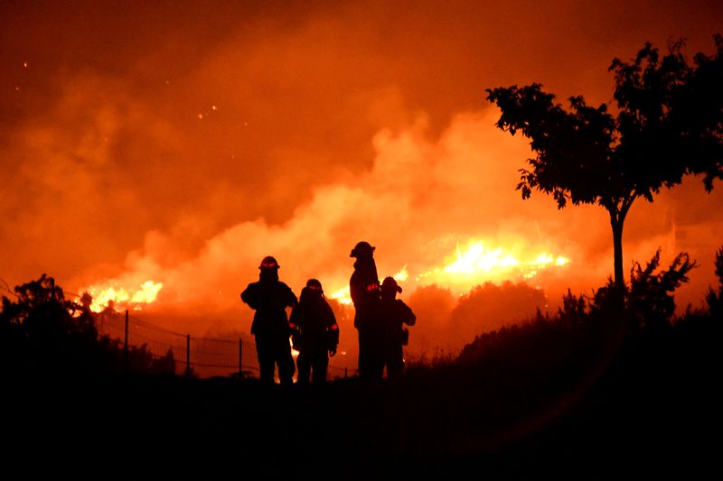 FILE PHOTO: FILE PHOTO: Wildfire in California burns through the