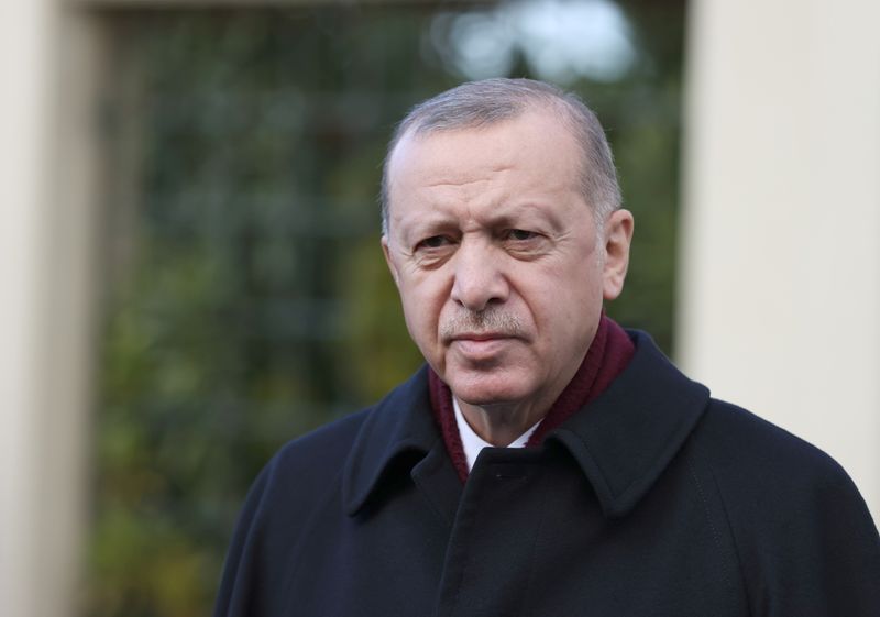 Turkish President Erdogan talks to media in Istanbul