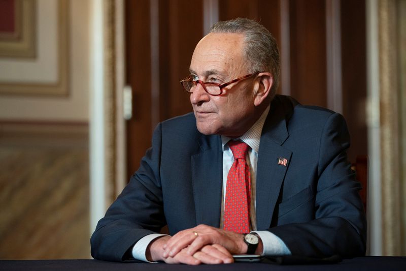 FILE PHOTO:  Senate Minority Leader Schumer meets virtually with