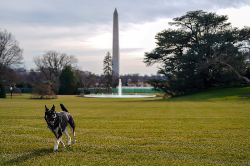 FILE PHOTO: Major explores the South Lawn after on his