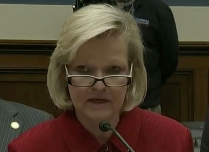 FILE PHOTO: Lawyer Cleta Mitchell speaks during a Capitol Hill