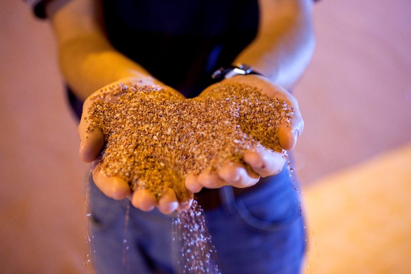 FILE PHOTO: File picture of mill manager holding processed potash