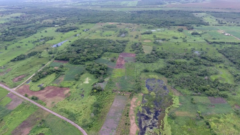 An aerial view of the ancient Maya Aguada Fenix site