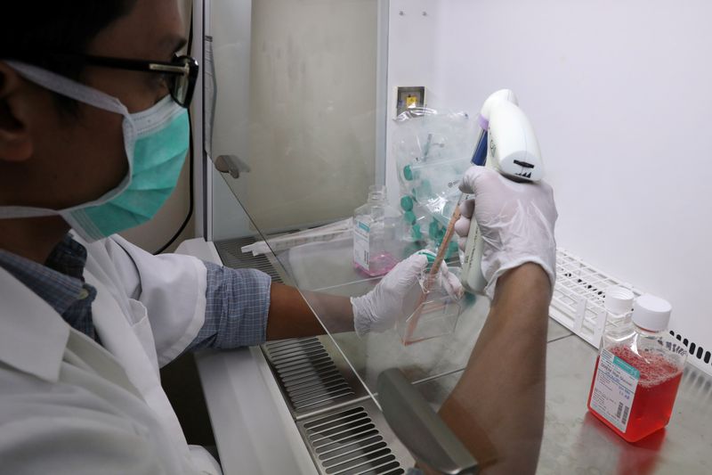 A researcher prepares Sumatran Rhinoceros cells for research at a