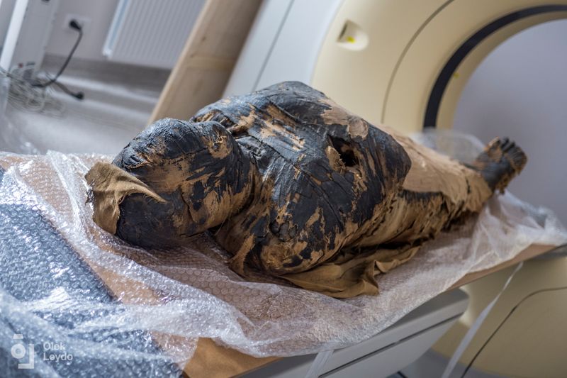 A pregnant Egyptian mummy is pictured during a research work