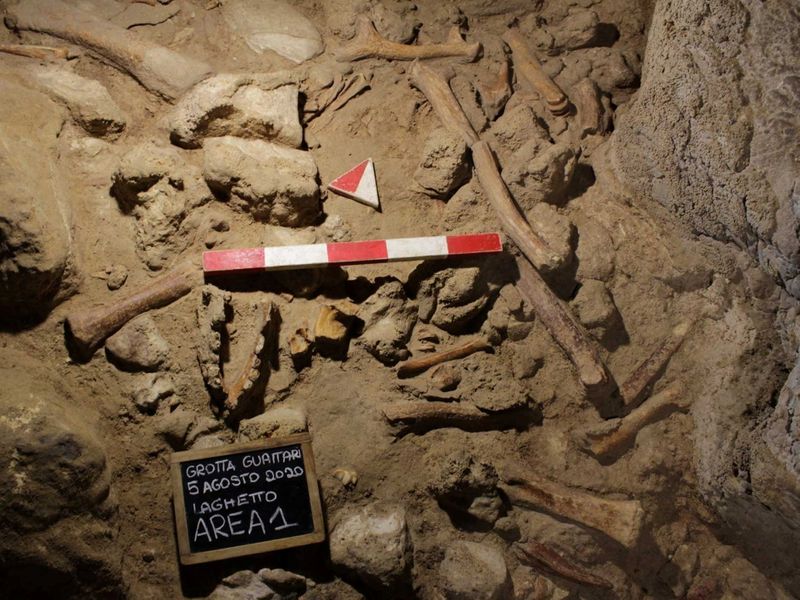 Fossilised remains, supposed to belong to Neanderthal men, are seen
