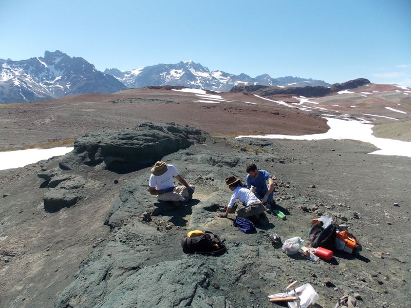 Technicians Marcelo Isasi, Marcela Milani, and paleontologist Nicolas Chimento work