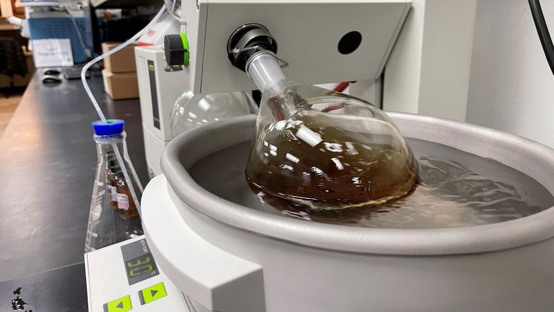 With lab help whiskey distillers skip oak barrel-aging – but