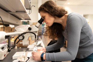 University of Edinburgh researcher Ornella Bertrand looks at Mesozoic mammal