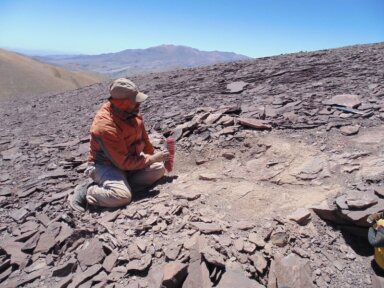 Pterosaur fossils found at ‘Tormento’ hill in the Atacama desert,