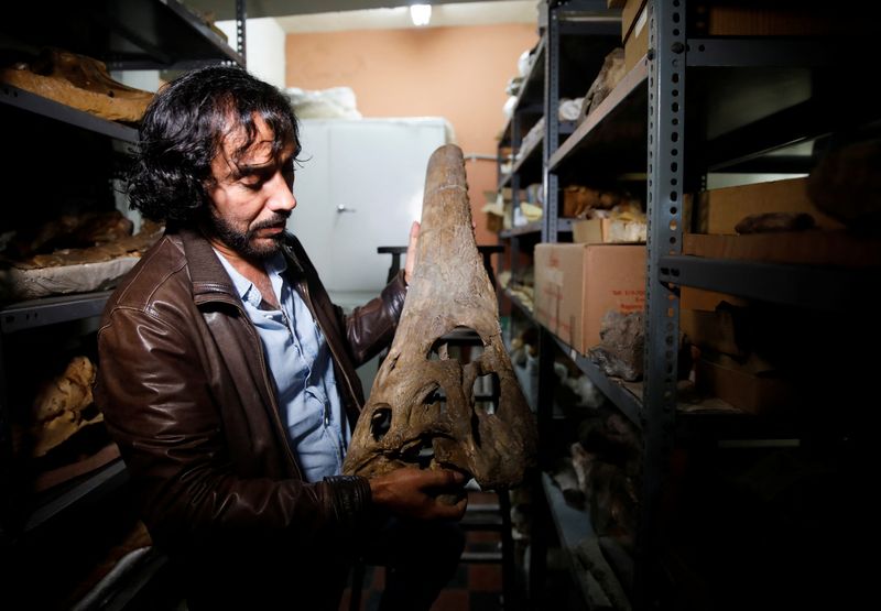 Peruvian prehistoric fossil discovery sheds light on marine origin of