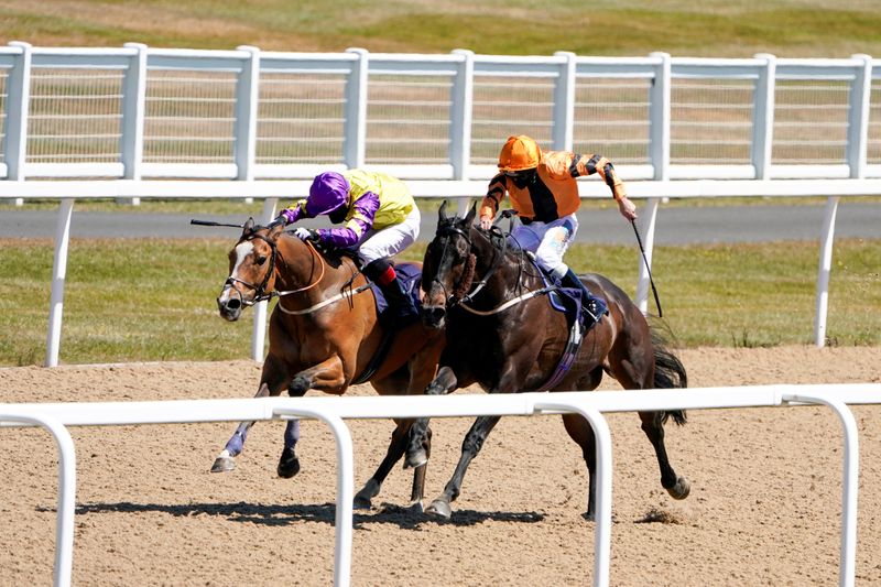 Horse Racing at Newcastle Racecourse