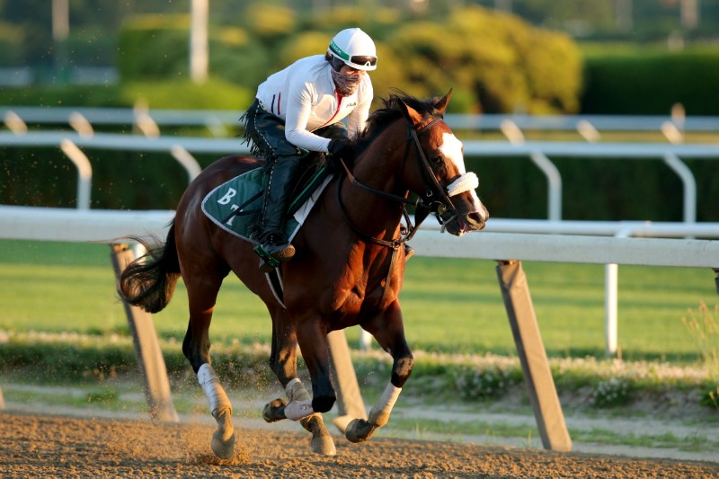 Horse Racing: Belmont-Workouts