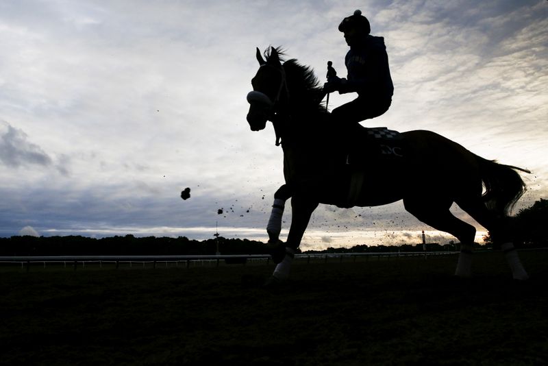 FILE PHOTO: A horse is seen in silhouette making its