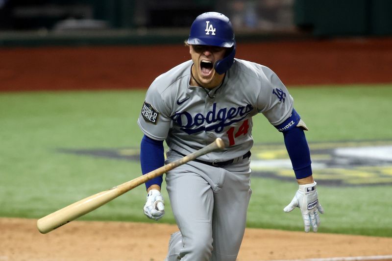 FILE PHOTO: MLB: World Series-Los Angeles Dodgers at Tampa Bay