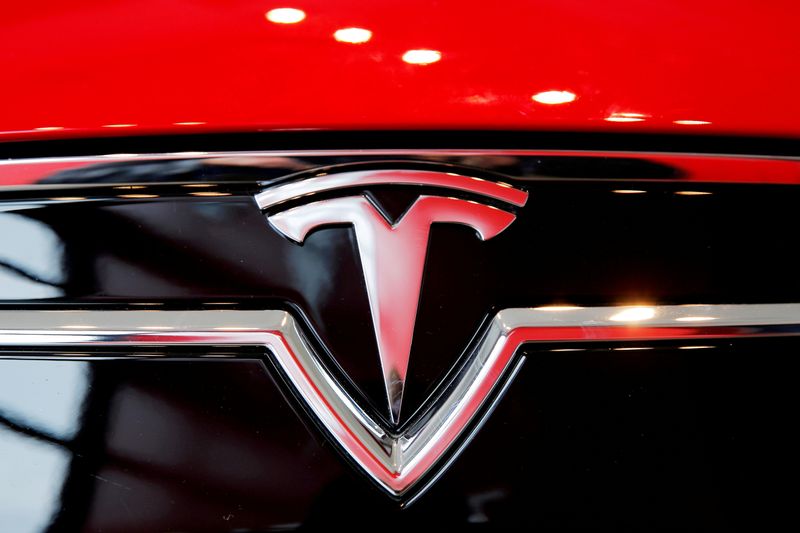 FILE PHOTO: A Tesla logo on a Model S is