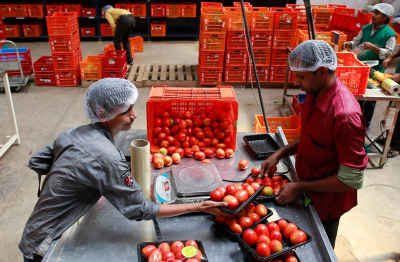 Employees arrange tomatoes before weighing them at a Big Basket