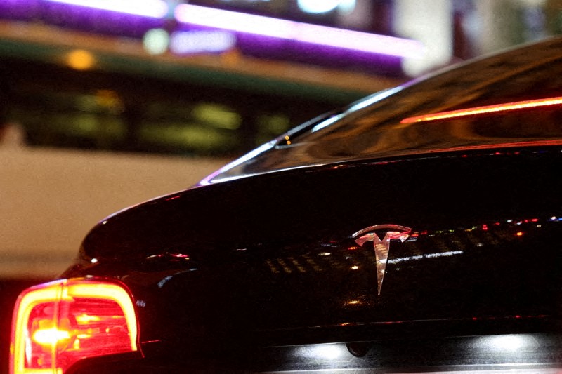 FILE PHOTO: A Tesla logo is seen on a Parisian